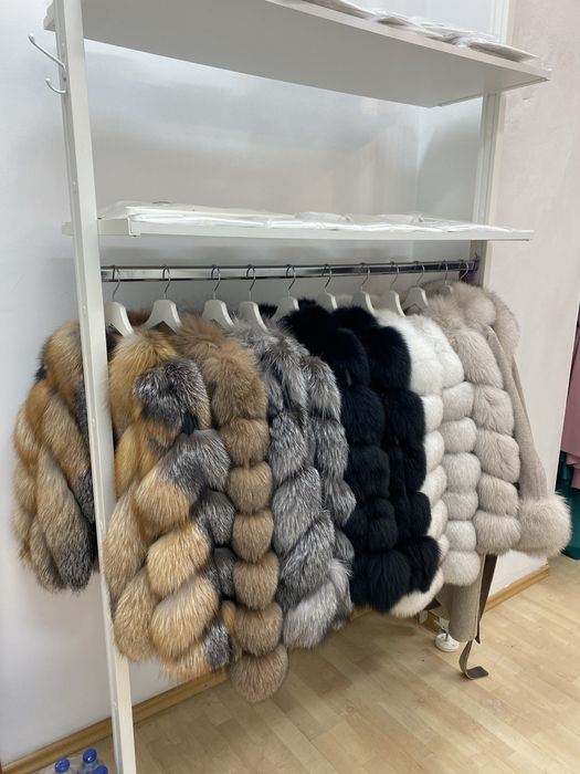 Promotie Haina vulpe roscata