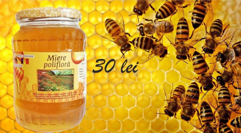 Miere naturala salcam, rapita, floarea soarelui