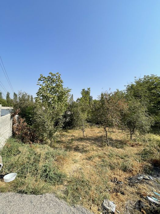 Parkentda 6-sotix dacha sotiladi, Shaxardan 20 km, dacumenti tayyor