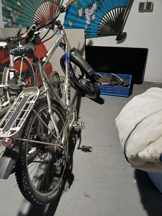 Biciclete germania
