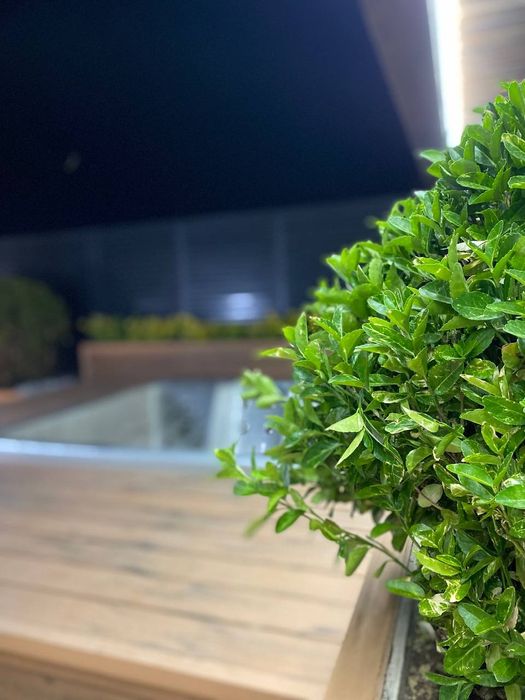 Повар + Завтрак! HI-TECH dacha ”White Villa Terraces” 30 kishigacha be