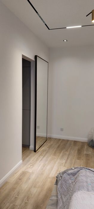 Дверь раздвижная с зеркалом.