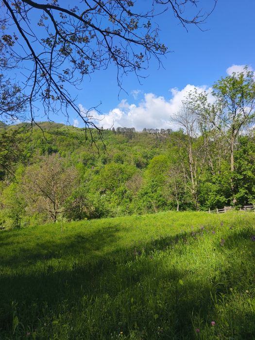 Teren Cabana Ocolis Alba – langa rau de munte, 4000 mp, SUPER OFERTA