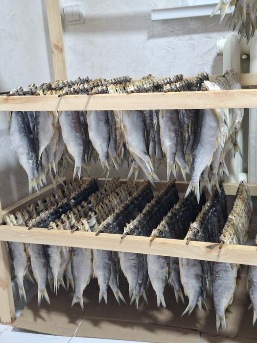 Продам.    рыбец