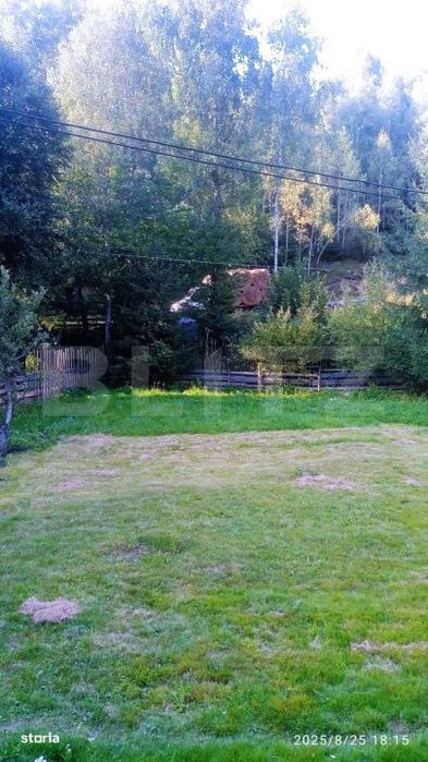 Cabana cu parau si brazi maturi, 1400mp, Valea Fericirii