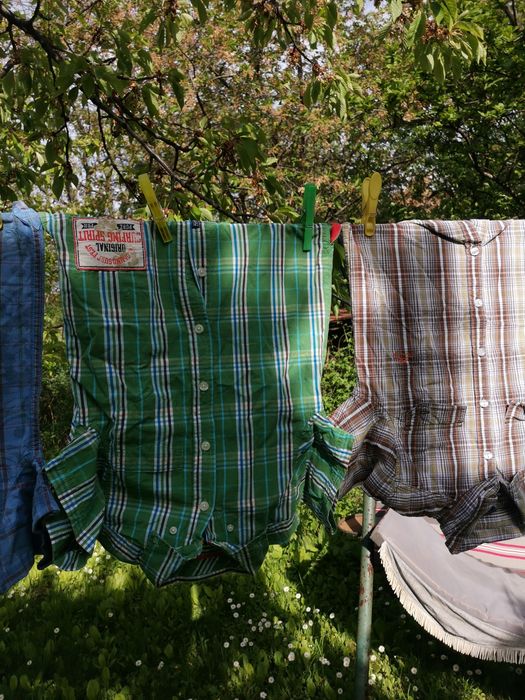 Лот Момчешки ризки къс ръкав