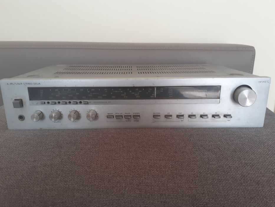 Amplificator Delia