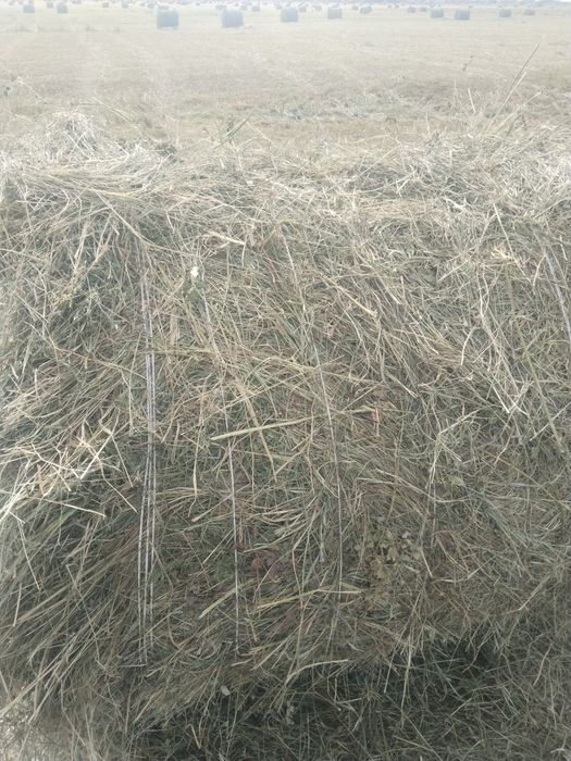 Сено разнотравье,луговое,рулон