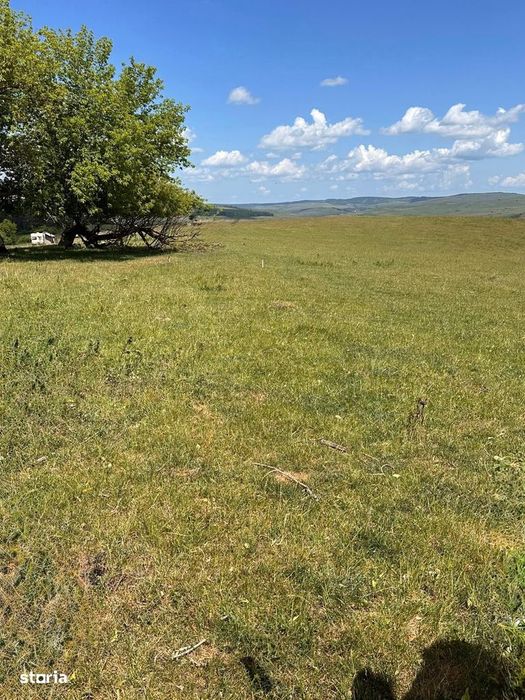 Teren extravilan 54.500 mp, lângă pădure, între Lovnic – Văleni