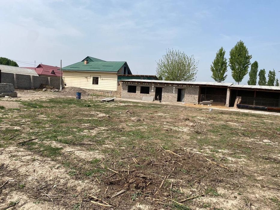 Chorva joyllari mol qoy boqishga