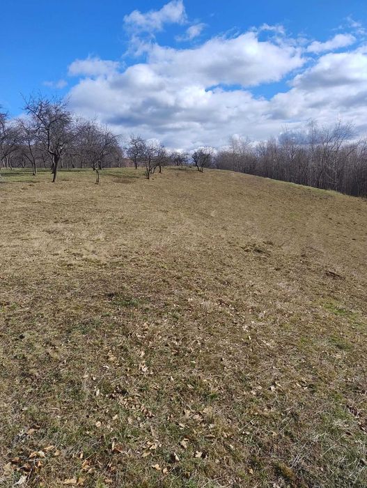 Teren cu panorama de vis , Borod