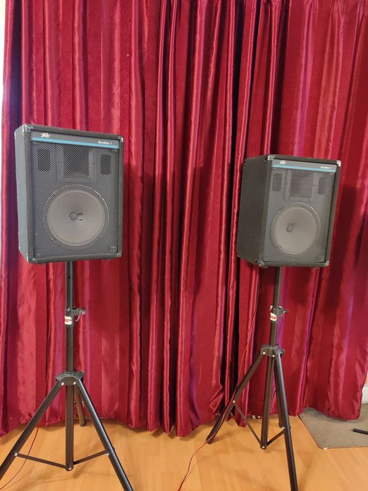 V/S boxe Peavey EuroSys-1