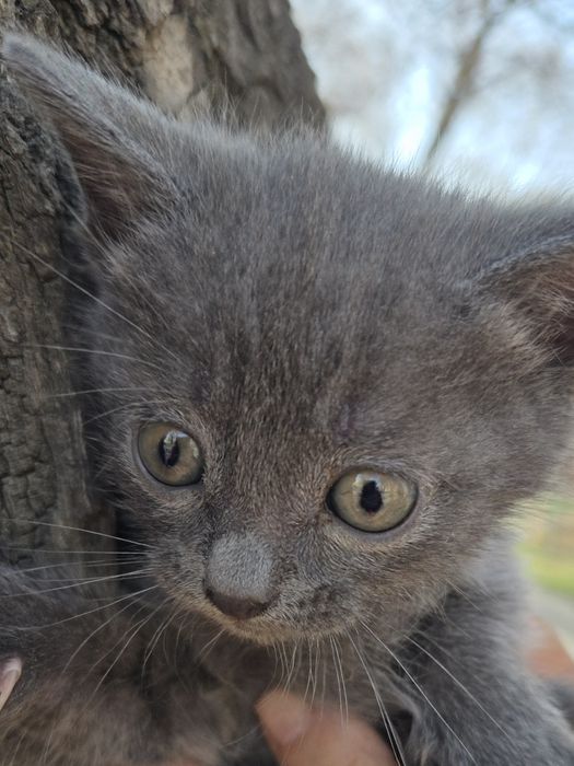 Пролам не дорого