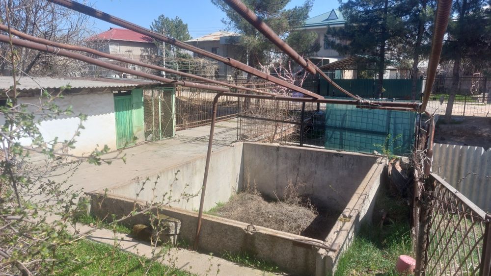 Дачный участок городского типа