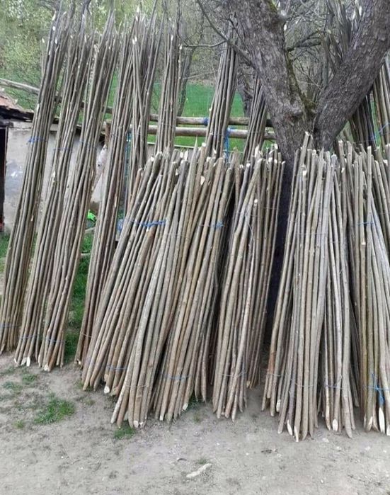 Pari de fasole și de rosii la 2 lei bucata  ân legatură sunt 20 de buc