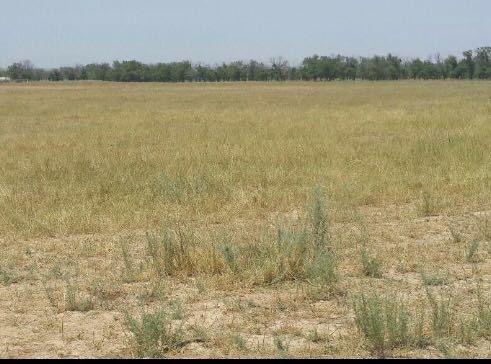 Продам землю 10 гектар