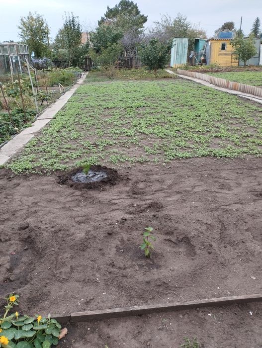 Продам дачу сады 1,16/а