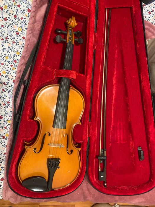 Vioara 4/4, Reghin - Model Profesional I (an 1991) + arcus + cutie