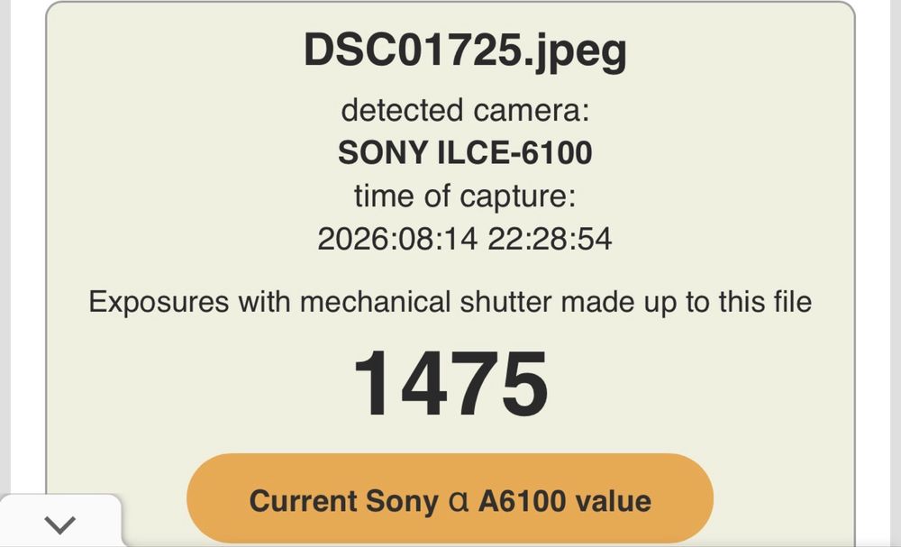 Aparat foto APS-C Sony a6100