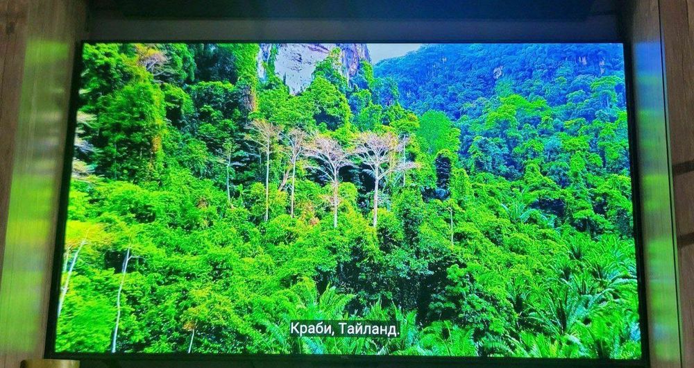 Смарт 55 диагональ почти новый в полном комплекте 2пульта один голосов