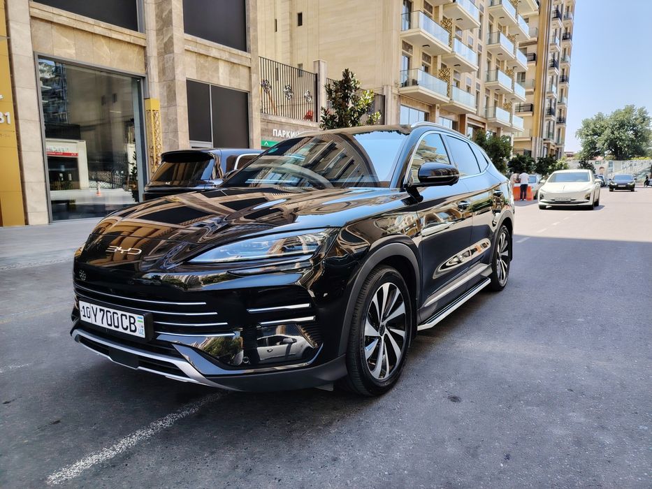 BYD CHENPION 110 gbrit