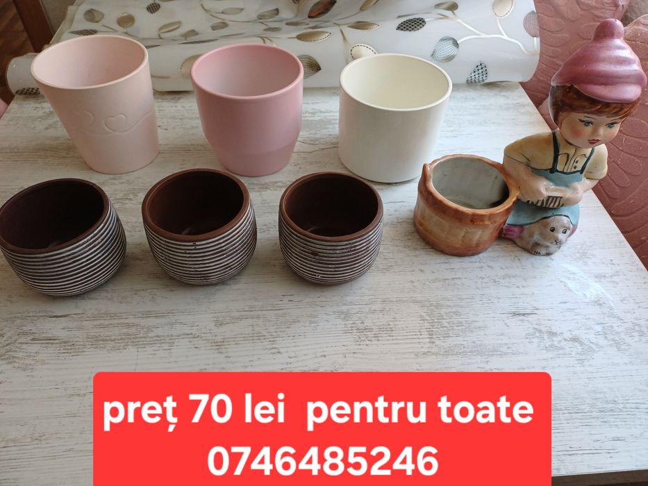 Ghiveci de flori  70 lei pentru toate