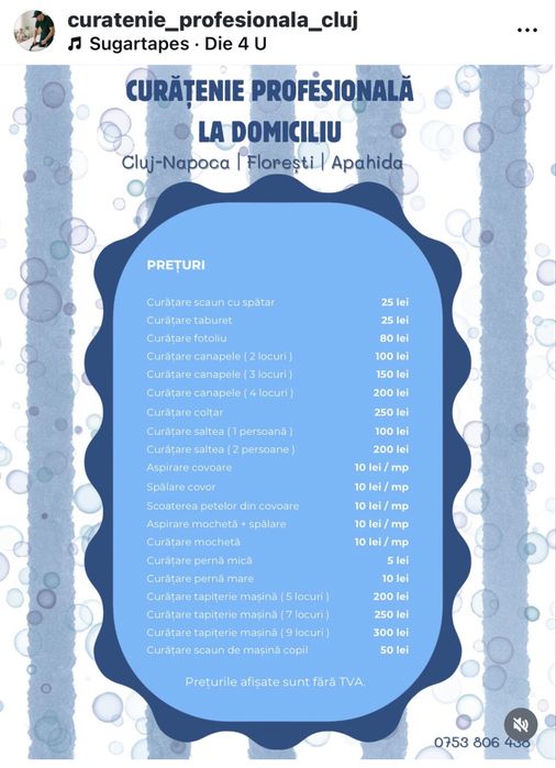 Curatare profesionala la domiciliu