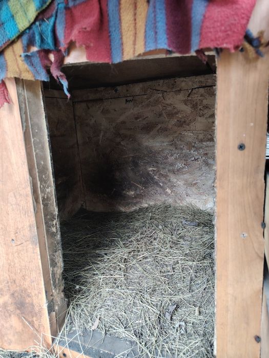 Будка, валерь для собак