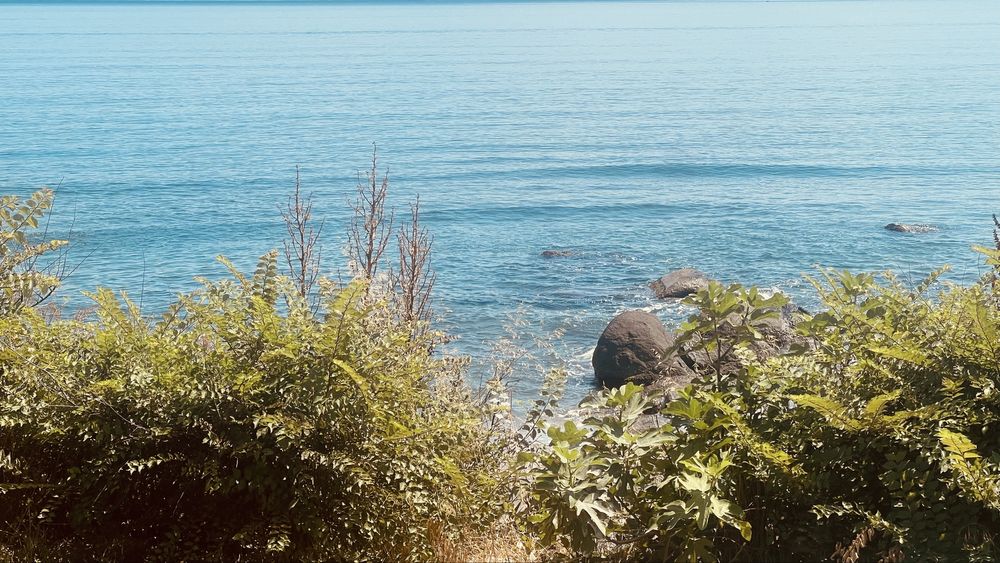 Бунгала на първа линия