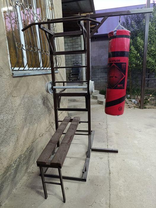 Универсальный турник