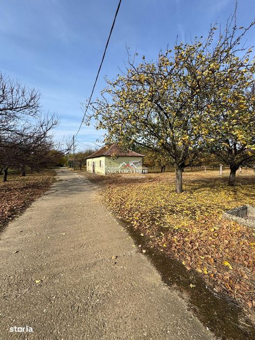 NECTORA IMOB-Teren cu livada matura+Anexa racordata la trifazic,9162mp