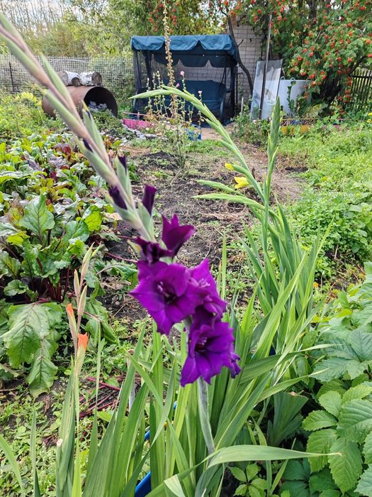 Продам дачу в черте города