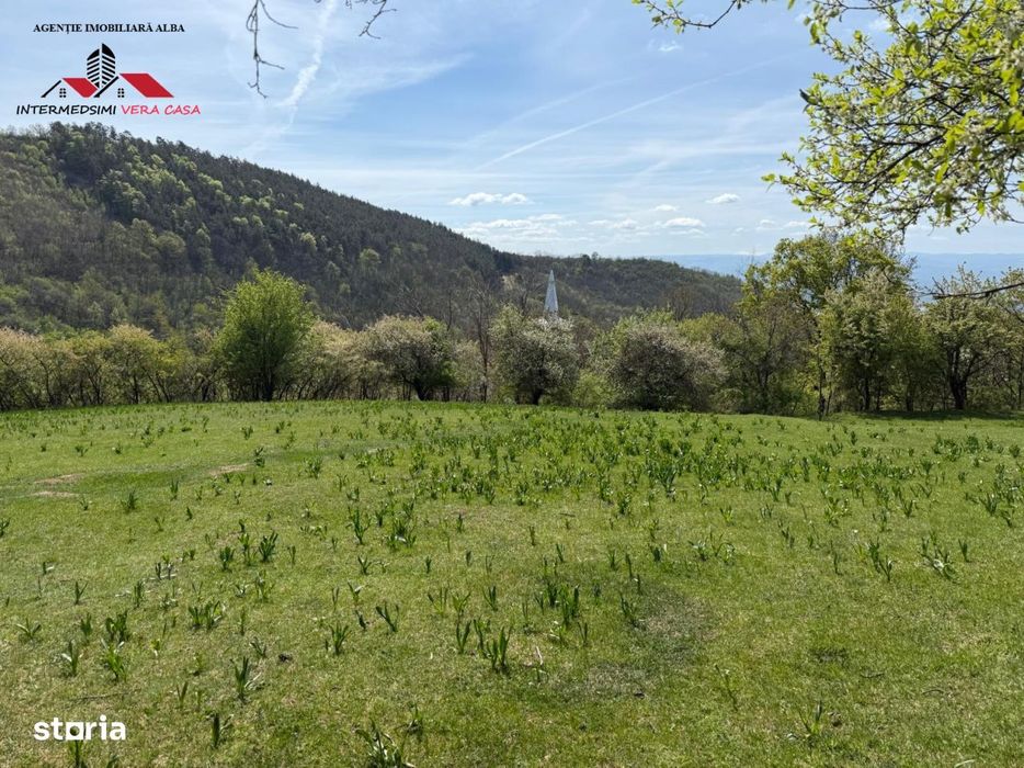 Teren intravilan 8330 mp de vanzare in Inuri Jud Alba