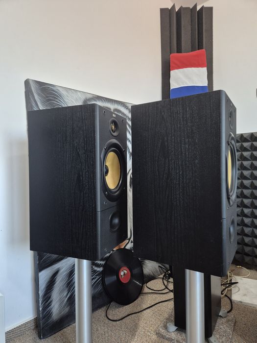 Bowers Wilkins DM 602 boxe de raft