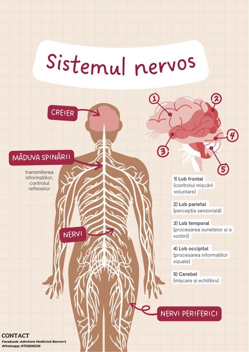 Meditații Anatomie- admitere medicină
