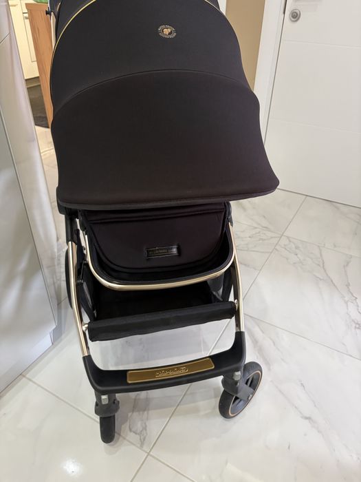 Chipolino elite