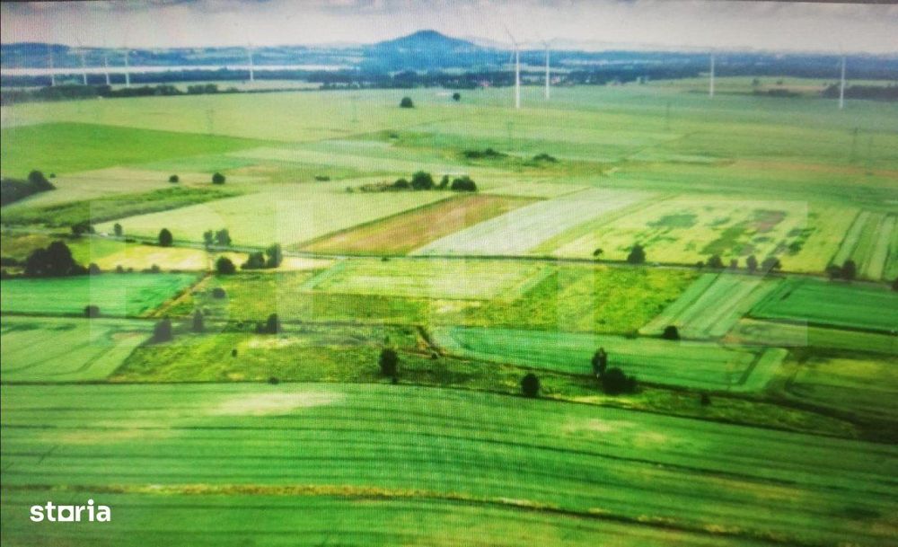 Teren la malul Dunarii, 2100mp, pret negociabil.