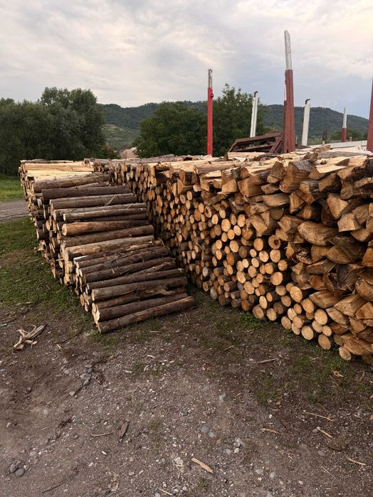 Lemne de foc brad - Preț accesibil, livrare în Sovata