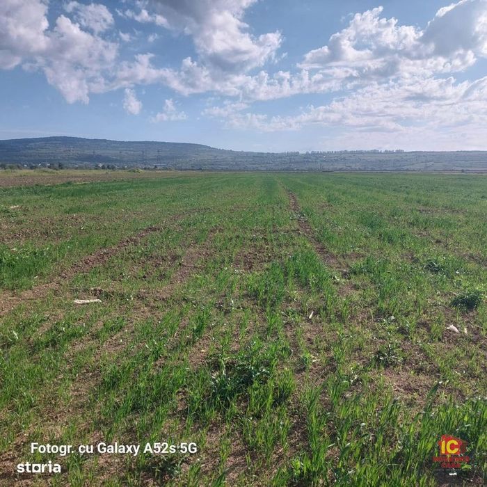 Teren extravilan de vânzare – Șelimbăr, Sibiu