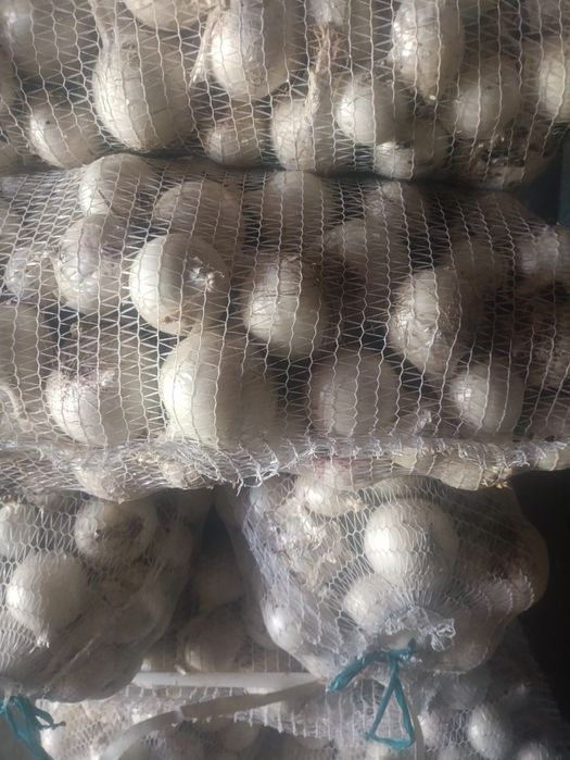 Ceapa alba de vanzare