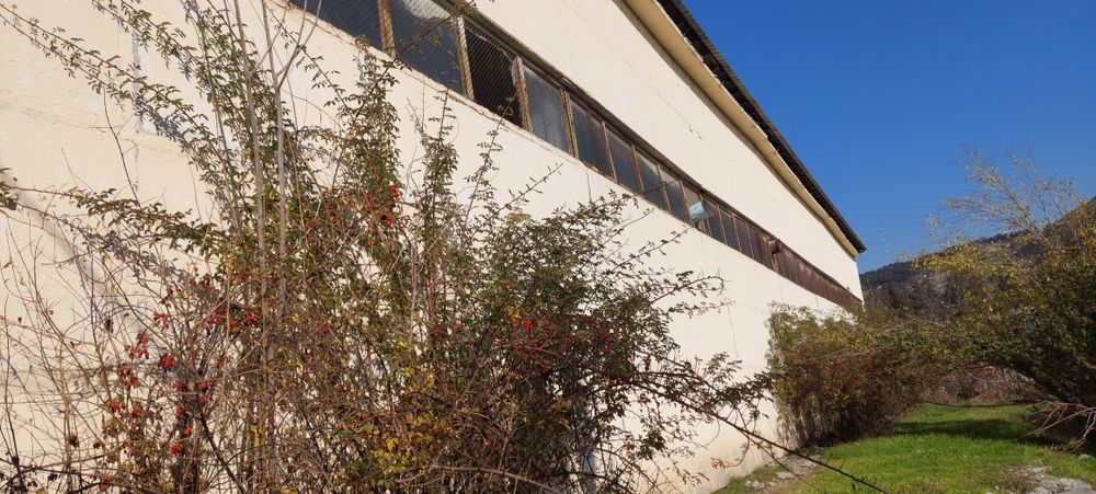 Срочно бино сотилади