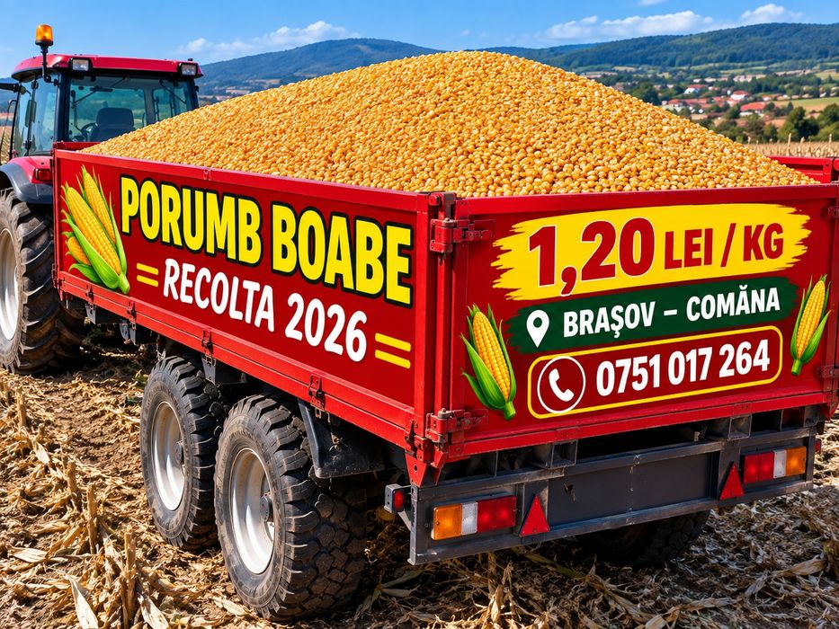 Porumb boabe de vânzare