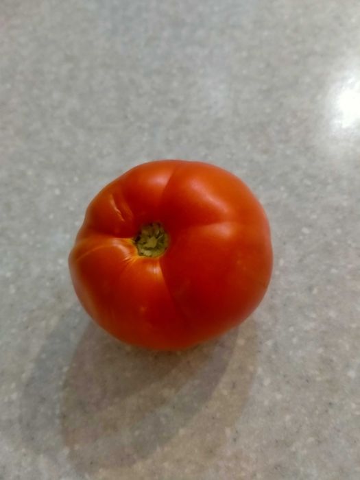 Продам помидоры домашние