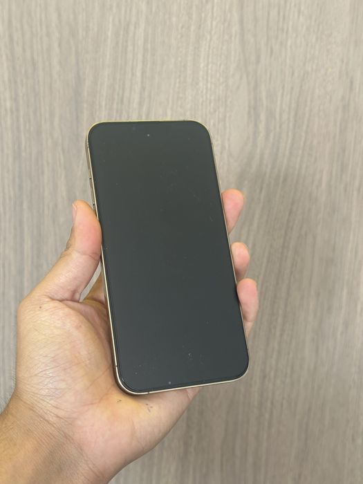 Iphone 13 Pro Max 256GB 77%