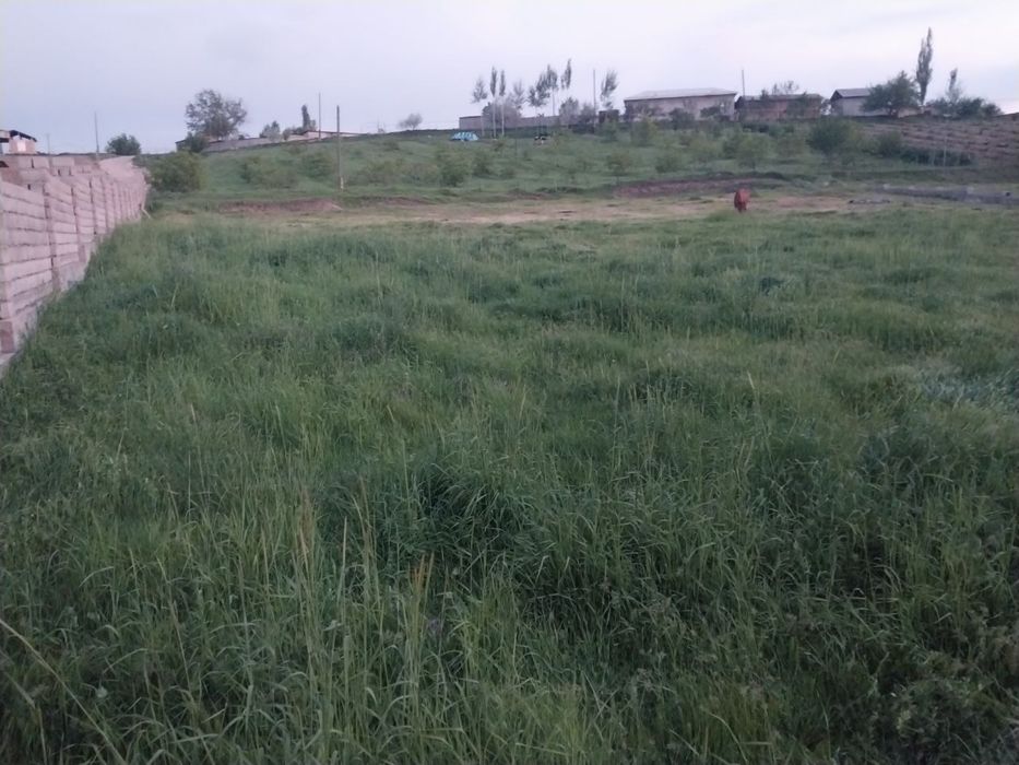 Краснагорск ер сотилади 30-сотих