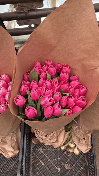 Цветы тюльпан звоните