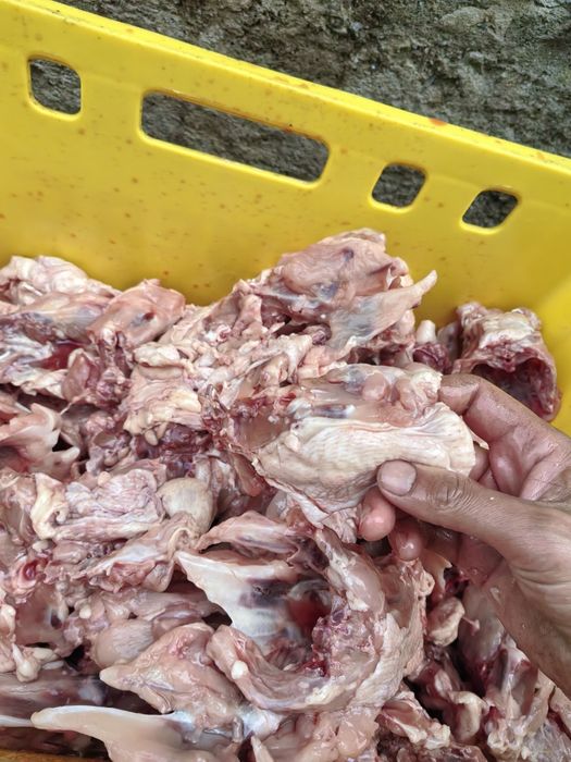 Колбаса для собак и кошкам