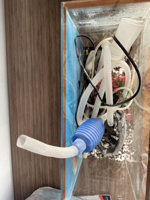 Аквариум без рыб все нудное есть