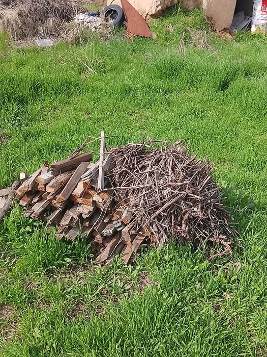 Otin sotiladi 1 moshina chiqadi