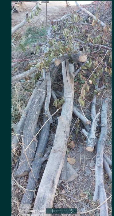 Тезда утин сотилади.